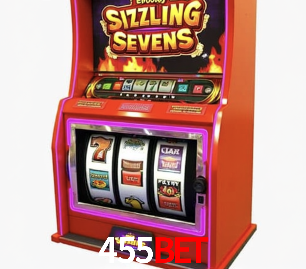 Security Systems 455Bet
